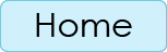 Home navigation button